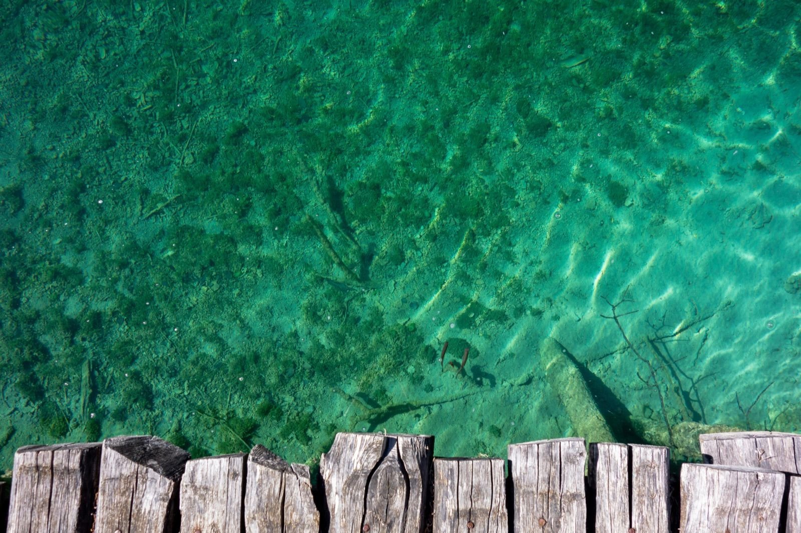 Crystal-clear turquoise water at Plitvice Lakes